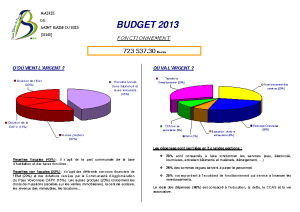 budget-2013